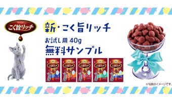 「新こく旨リッチ」とは？